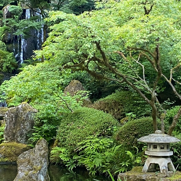 Meet your Posher, Jessy - Picture 4 of 8